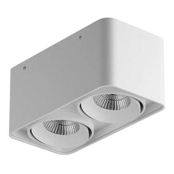 052126-IP65 Светильник MONOCCO LED 2х10W 1200LM 30G БЕЛЫЙ 4000K (в комплекте)
