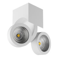 055364*** Светильник SNODO LED 2*10W 1960LM 23G БЕЛЫЙ 4000K IP20 (в комплекте)