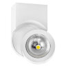 055164 Светильник SNODO LED 10W 980LM 23G БЕЛЫЙ 4000K IP20 (в комплекте)